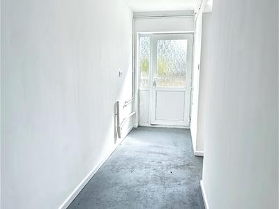 Picture 28